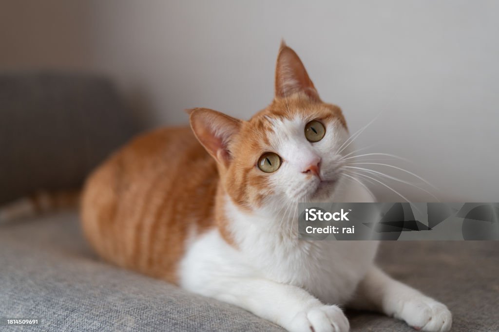 公園清掃へのご協力ありがとうございました